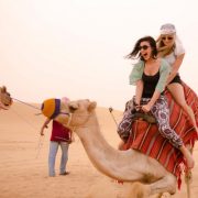 dubai-camel_rides