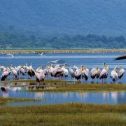 Lake-Manyara