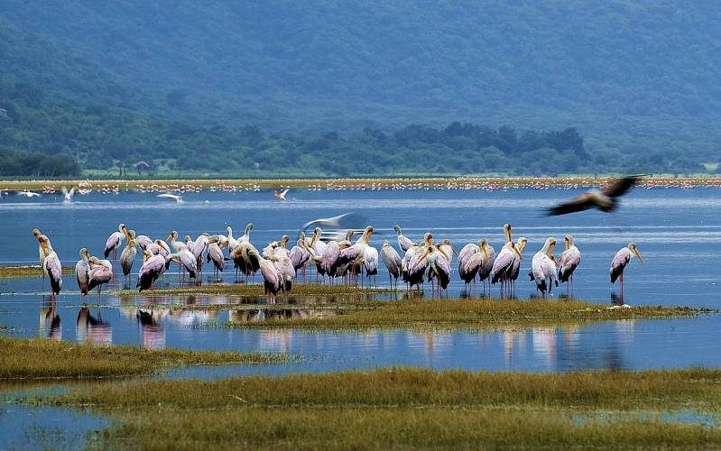 Lake-Manyara