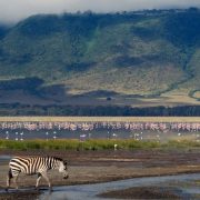 Ngorongoro_safaris