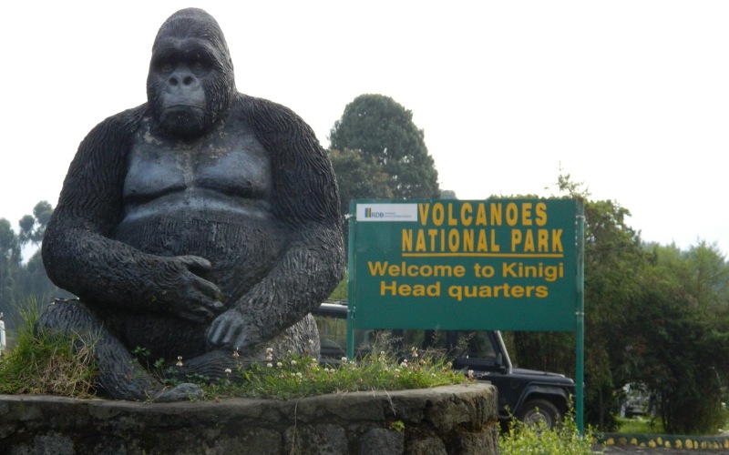 Rwanda-Volcanoes-National-Park Rwanda-Volcanoes-National-Park