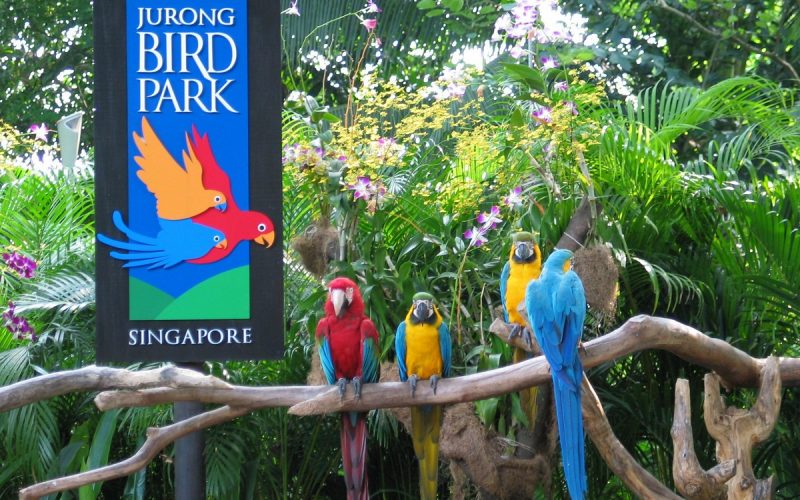 jurong-bird-park