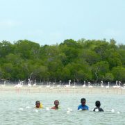 mida-creek