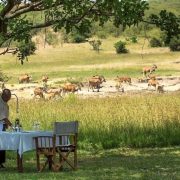 Mara-Bushtops-salt-lick