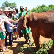 DAPHNE SHELDRICKS