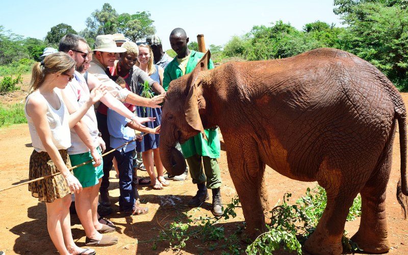 DAPHNE SHELDRICKS