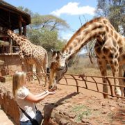 Safari Experience in Kenya